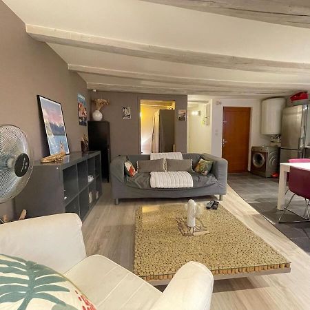 Le Plein Air D'Annecy, Proche Gare Apartment Ngoại thất bức ảnh
